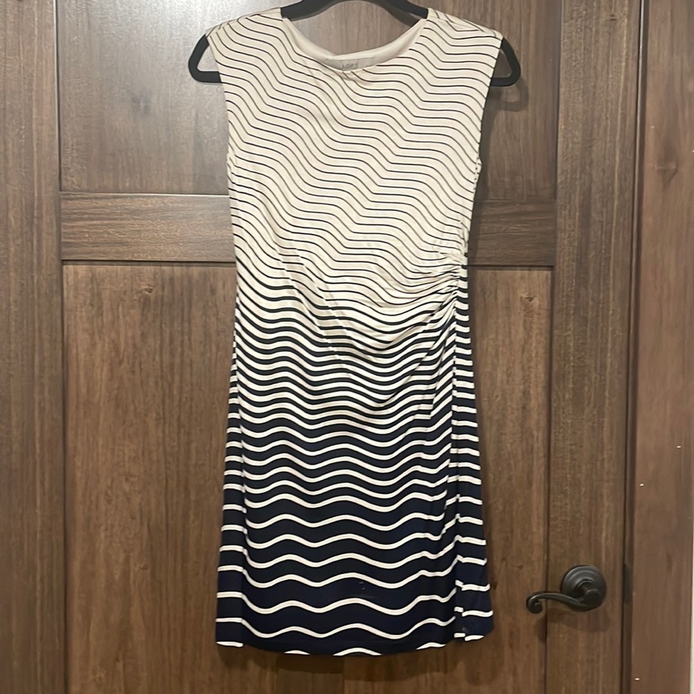 Petite navy/cream dress from the LOFT.